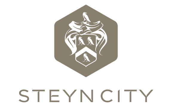 steyncity-logo